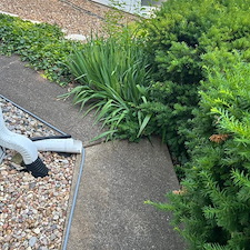 Top-Rated-Concrete-Cleaning-in-Lake-St-Louis-Mo 15